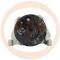 · DAN517 - ALT.FIAT 70A DENSO NEW