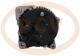 · PA4037 - ALT.VOLVO 100A PCV