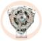 · 860713 - ALT.MAN 100A PRESTOLITE NEW