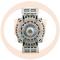 · 8600016 - ALT.CATERPILLAR 70A REMY NEW