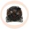 · 0124515022 - ALT.VOLKSWAGEN 120A BOSCH NEW