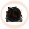 · 0123310001R - ALT.VOLKSWAGEN 70A BOSCH REMAN