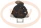 · 0123510003P - ALT.ALTERNATOR PCV