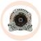 · 0124515013P - ALT.VOLKSWAGEN 120A PCV (669)