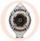 · 0124655008OER - ALT.VOLVO 110A PCV