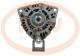 · 0124655025OER - ALT.MAN 120A PCV (521)