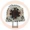 · DS7T10300LAR - ALT.FORD 180A VISTEON REMAN