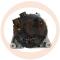 · TG12C038OER - ALT.FORD 120A PCV