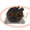 PCV DAN1071 - ALTERNADOR PEUGEOT 90A 12V DENSO NEW [1154]