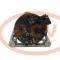 PCV DAN515 - ALTERNADOR CITROëN/PEUGEOT 80A 12V DENSO NEW