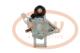 PCV DSN1009 - ARRANQUE TOYOTA 1.2 KW 12V DENSO NEW