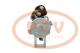 PCV DSN1365 - ARRANQUE LAND ROVER 1.9 KW 12V DENSO NEW