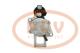 PCV DSN999 - ARRANQUE TOYOTA 1.0 KW 12V DENSO NEW