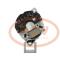 PCV MG46 - ALTERNADOR VOLVO TRUCK 70A 12V MAHLE NEW