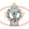 PCV MG462 - ALTERNADOR MASSEY FERGUSON 33A 12V MAHLE NEW [0254]