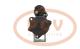 PCV MS101 - ARRANQUE CUMMINS 4.2 KW 12V MAHLE NEW