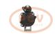 PCV MS176 - ARRANQUE IVECO 4.2 KW 12V MAHLE NEW