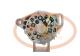 PCV PAA12455D - ALTERNADOR DAEWOO 55A 12V PCV NEW ECO T/OTHER