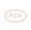 PCV SG10B021 - ALTERNADOR PEUGEOT 90A 12V VALEO NEW