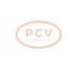 PCV TG12C193 - ALTERNADOR OPEL 140A 12V VALEO NEW