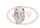 PCV 4471505200P - COMPRESOR P/CITROEN /  PEUGEOT PCV NEW T/DENSO [C0160]