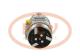 PCV SD7V161813P - COMPRESOR P/CITROEN /  PEUGEOT PCV NEW [C0164]