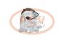 PCV 814920 - COMPRESOR P/BMW VALEO NEW [C0173]