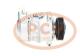 PCV PXE148463 - COMPRESOR P/CITROEN /  PEUGEOT SANDEN NEW [C0277]