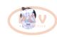 PCV 559562P - COMPRESOR P/NISSAN PCV NEW T/VALEO