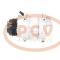 PCV 2483000590P - COMPRESOR P/MERCEDES-BENZ / MAN / SMART PCV NEW T/DENSO