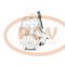 PCV 2483000590P - COMPRESOR P/MERCEDES-BENZ / MAN / SMART PCV NEW T/DENSO