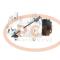 PCV 2483000590P - COMPRESOR P/MERCEDES-BENZ / MAN / SMART PCV NEW T/DENSO