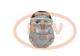 PCV SD7H156106 - COMPRESOR P/VOLVO SANDEN NEW