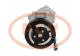 PCV TSP0155948P - COMPRESOR P/OPEL / ISUZU PCV NEW T/DELPHI [C0302]