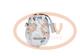 PCV TSP0155142P - COMPRESOR P/OPEL / ISUZU PCV NEW T/DELPHI