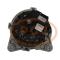 PCV F000BL08E0 - ALTERNADOR NISSAN 150A 12V SEG NEW [1522]