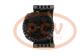 PCV 0124555117 - ALTERNADOR DAF 80A 24V SEG NEW