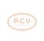 PCV 0125812009 - ALTERNADOR VOLVO 215A 12V SEG NEW