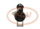 PCV 0001123036P - ARRANQUE VOLKSWAGEN 2.0 KW 12V PCV NEW T/BOSCH