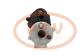 PCV 000135F202 - ARRANQUE CATERPILLAR 10.0 KW 24V BOSCH NEW