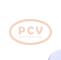 PCV 0120489346P - ALTERNADOR FORD 70A 12V PCV NEW T/BOSCH