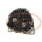 PCV 0124555006OER - ALTERNADOR DAF 80A 24V PCV NEW C/REGULADOR OE T/BOSCH
