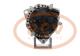 PCV 0124655037P - ALTERNADOR DAF 110A 24V PCV NEW T/BOSCH