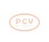 PCV 0125811020P - ALTERNADOR VOLVO 180A 12V PCV NEW T/BOSCH