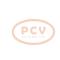 PCV 0125811044P - ALTERNADOR IVECO 210A 12V PCV NEW T/BOSCH