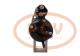 PCV 0280007130P - ARRANQUE TOYOTA 0.8 KW 12V PCV NEW T/DENSO