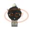 PCV 0350004958P - ALTERNADOR ISUZU 60A 24V PCV NEW T/NIKKO