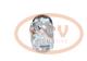PCV 090135024P - COMPRESOR P/OPEL / ISUZU PCV NEW T/DELPHI