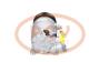PCV 090215096P - COMPRESOR P/BMW PCV NEW T/VISTEON [C0303]