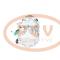 PCV 090225051P - COMPRESOR P/CITROEN /  PEUGEOT PCV NEW